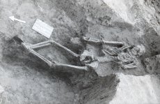 2.s�r-fot�.jpg